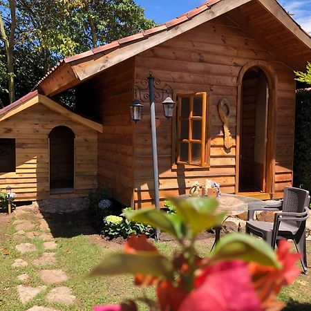 Cabanas Villa Isabel กาฮิกา ภายนอก รูปภาพ