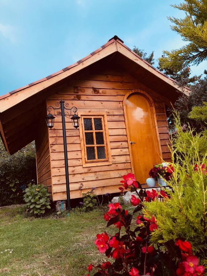 Cabanas Villa Isabel กาฮิกา ภายนอก รูปภาพ
