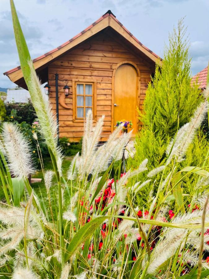 Cabanas Villa Isabel กาฮิกา ภายนอก รูปภาพ